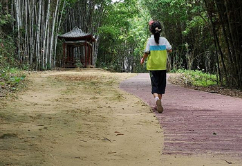 凤凰谷风景区第 3 张图片