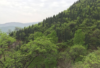 环翠峪风景名胜区第 32 张图片