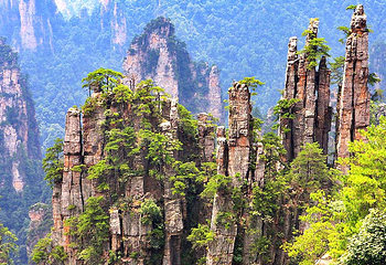 天子山风景区第 81 张图片