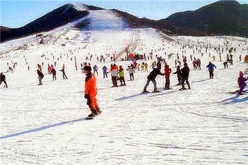 洛阳木札岭滑雪场第 17 张图片