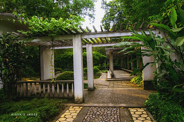 中山公园第 14 张图片