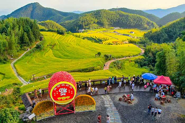 上堡梯田第 35 张图片