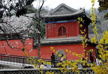 大觉寺第 29 张图片
