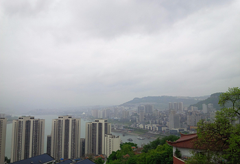 弥陀禅院第 8 张图片