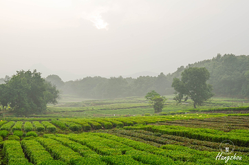 茅家埠景区第 31 张图片