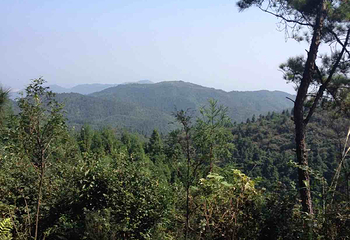 麻姑山第 22 张图片