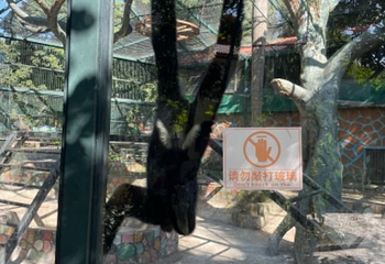 西双版纳野生动物园第 50 张图片