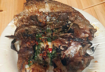 勐海游览区第 8 张图片