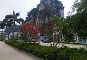 三里洋渡风景区第 19 张图片