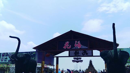 中山德华湿地花海第 16 张图片