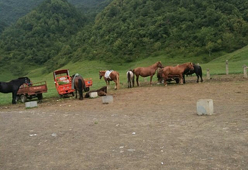 红池坝风景区第 33 张图片