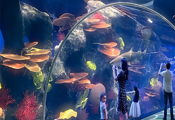 海滨城浩海立方海洋公园第 7 张图片