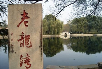 老龙湾第 38 张图片