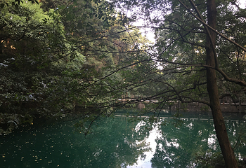 浙江大学第 11 张图片