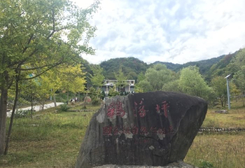 鹞落坪第 3 张图片