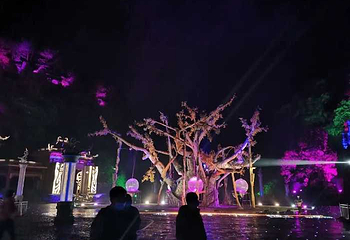《寻梦龙虎山》实景演出第 58 张图片