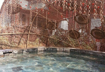九天温泉第 46 张图片