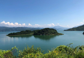 东江湖凤凰岛景区第 39 张图片