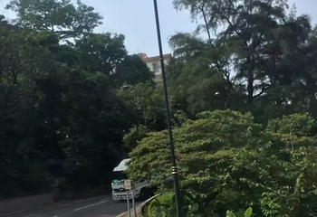 太平山顶第 49 张图片