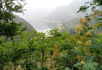秦岭第 19 张图片