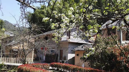 古田山自然保护区第 7 张图片