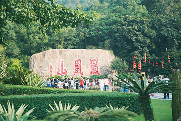 凤凰山第 5 张图片