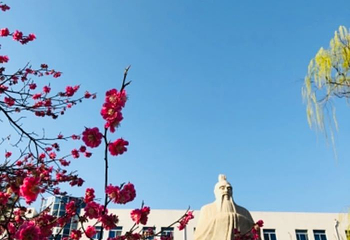 山东大学第 8 张图片