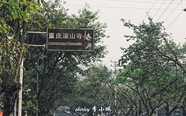 真君殿第 3 张图片