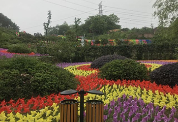 重庆歌乐山桃花谷第 18 张图片