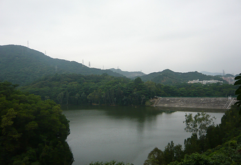 阳台山森林公园第 12 张图片