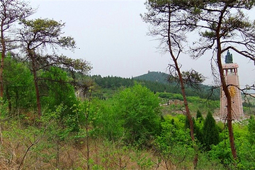 浮来山风景区第 23 张图片