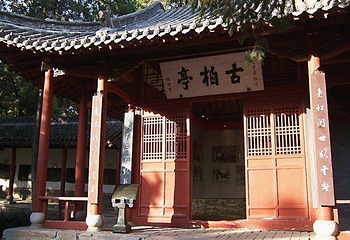 南阳医圣祠第 19 张图片