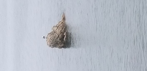 东炮台海滨旅游风景区第 42 张图片