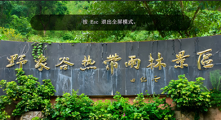野象谷第 41 张图片