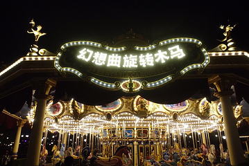 幻想曲旋转木马第 11 张图片