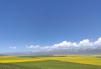 达坂山观景台第 4 张图片