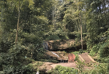 蜀南竹海风景名胜区-忘忧谷第 11 张图片
