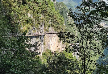 巴山大峡谷第 30 张图片