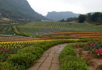 清溪谷旅游区-花田酒地景区第 55 张图片