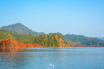 青龙湾生态旅游区第 19 张图片