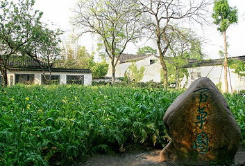 百草园第 32 张图片