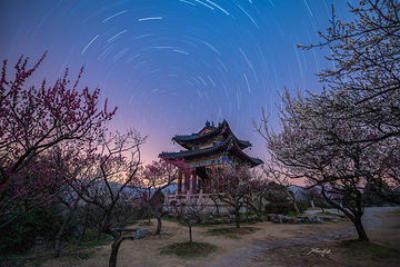 梅花山第 32 张图片