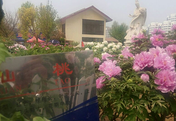 果都大观园第 14 张图片