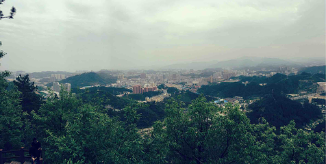 四方山植物园第 19 张图片