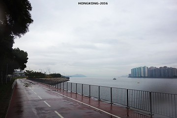 吐露港第 7 张图片