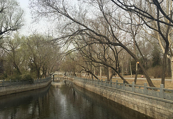 西沽公园第 6 张图片