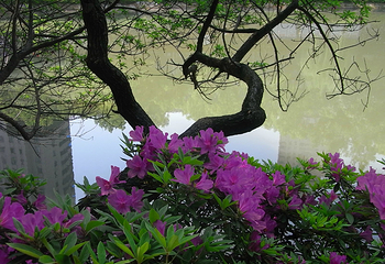 清水塘第 13 张图片