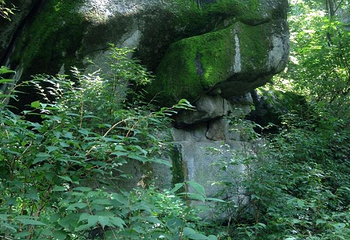 小东沟原始森林第 12 张图片