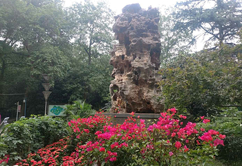 解放公园第 23 张图片
