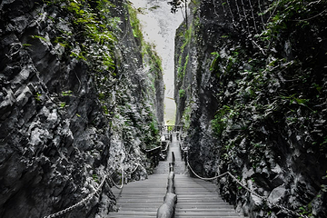 张家界大峡谷第 179 张图片